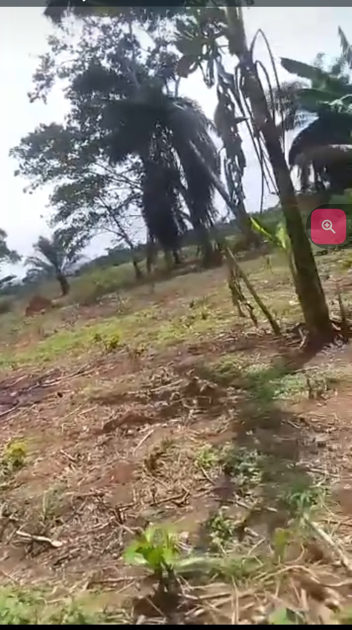 Land for Sale in Benin City