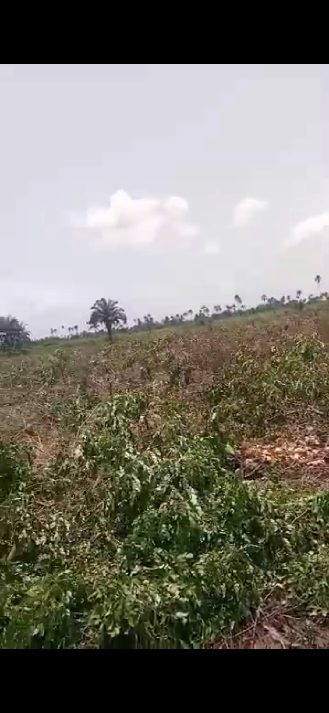 Land for sale in Benin City